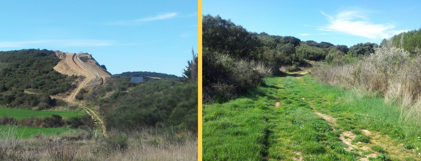 Foto izquierda – Zona desbrozada Foto derecha – Camino bordeando carretera